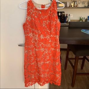 New York & Co: Orange Lace Overlay Dress